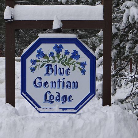 Blue Gentian Lodge At Magic Mountain Londonderry 外观 照片