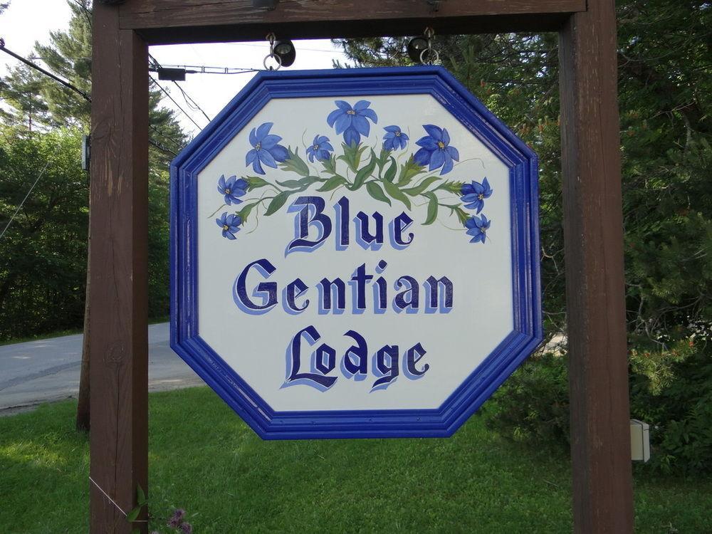 Blue Gentian Lodge At Magic Mountain Londonderry 外观 照片
