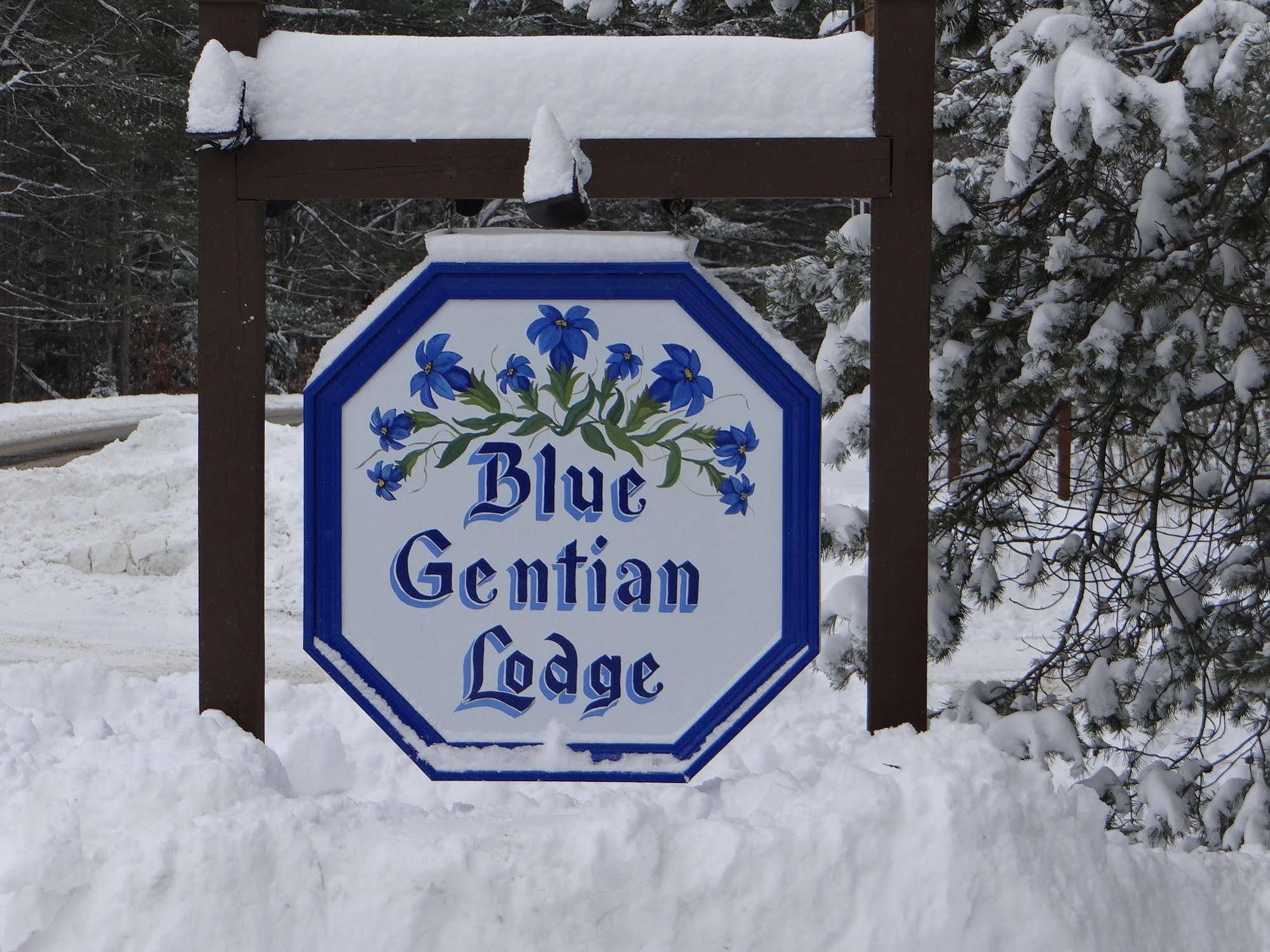 Blue Gentian Lodge At Magic Mountain Londonderry 外观 照片