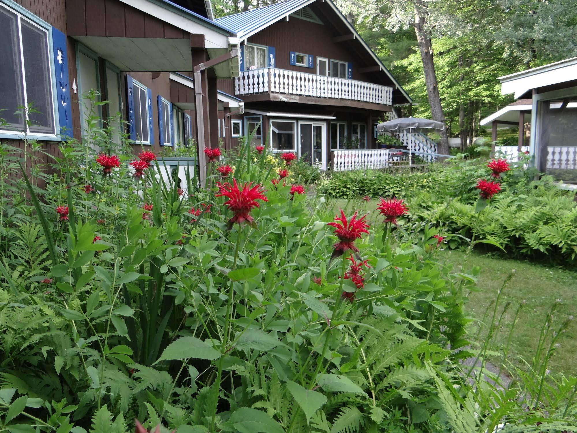 Blue Gentian Lodge At Magic Mountain Londonderry 外观 照片